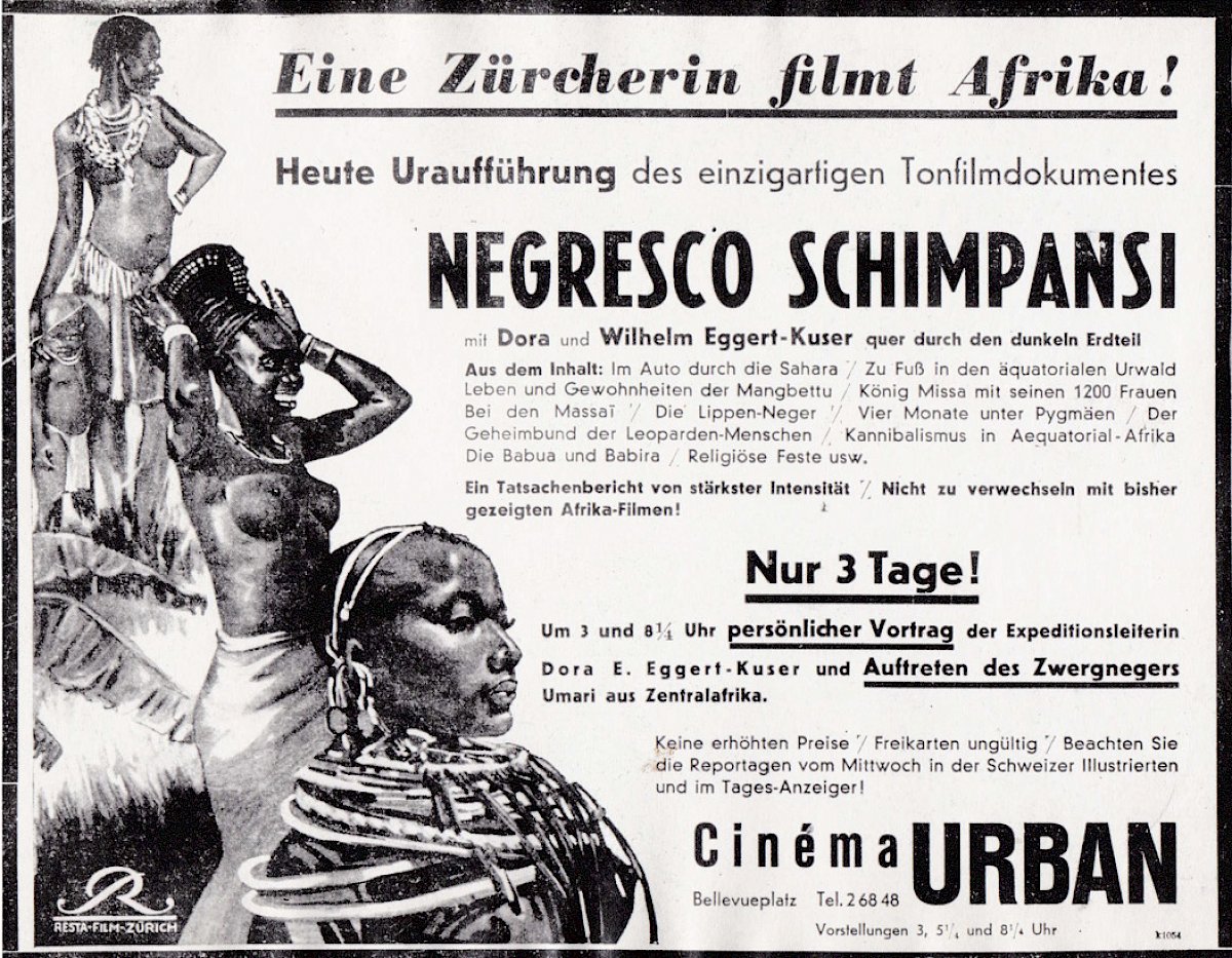 «Negresco Schimpansi»