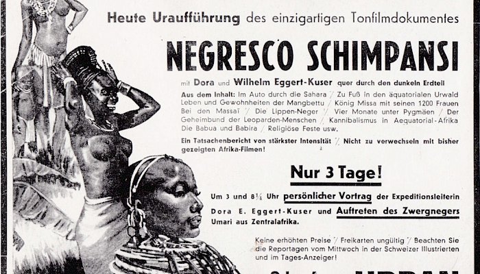 «Negresco Schimpansi»